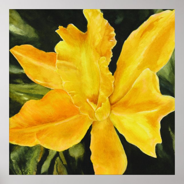 Póster Aratilante de fondo verde de pintura de orquídea a (Frente)