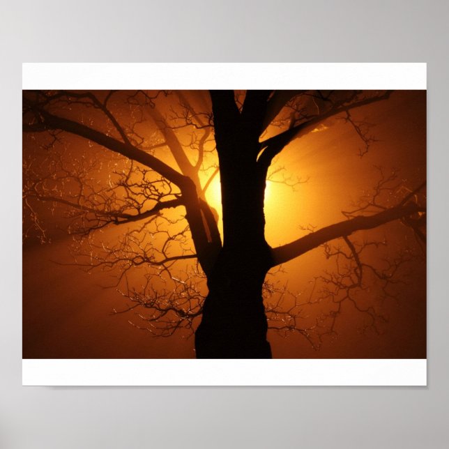 Póster Árbol (Frente)