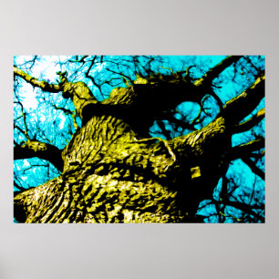 Póster Árbol