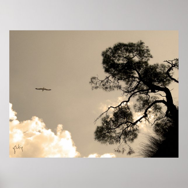 Póster árbol (Frente)