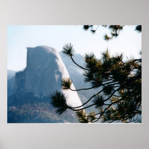 Póster Árbol a media casa