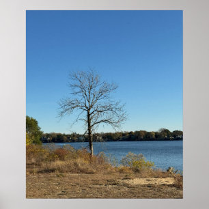 Póster Árbol a orillas del río Poster