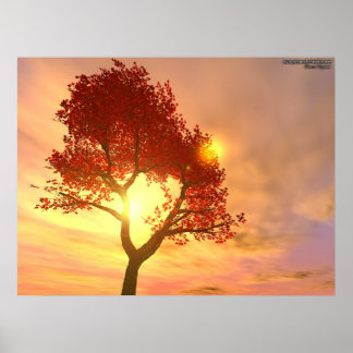 Póster Árbol al atardecer