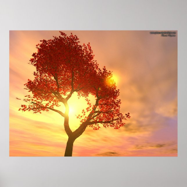 Póster Árbol al atardecer (Frente)