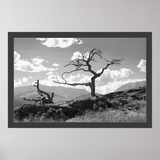 Póster Árbol aleteado (bordeado) (Frente)