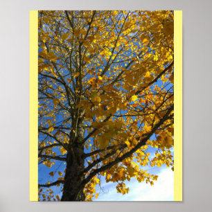Póster Árbol amarillo otoñal