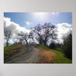 Póster Árbol arcoiris Escenario Senderismo Fotografía de 