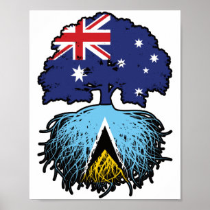Póster Árbol australiano de Santa Lucía
