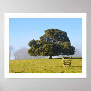 Póster Árbol bajo el sol invernal