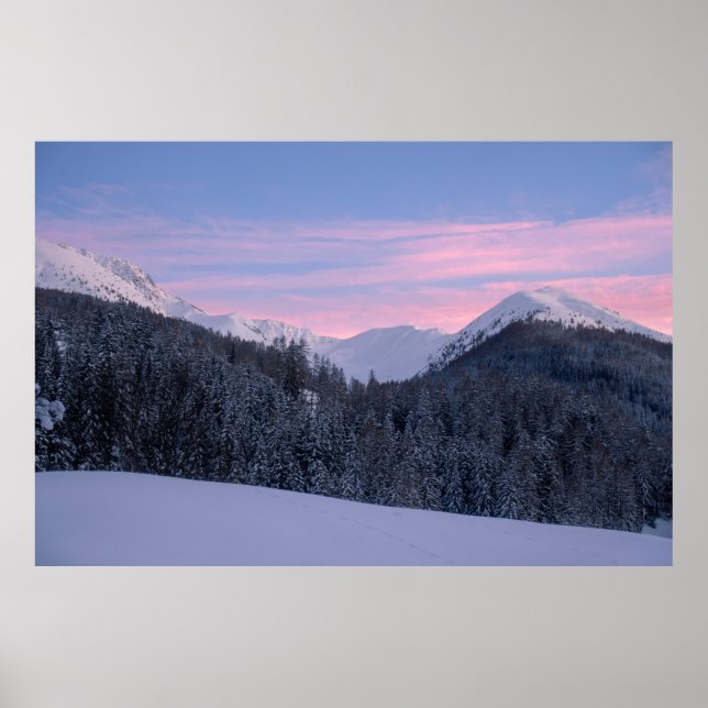 PÓSTER ÁRBOL BARE (Frente)