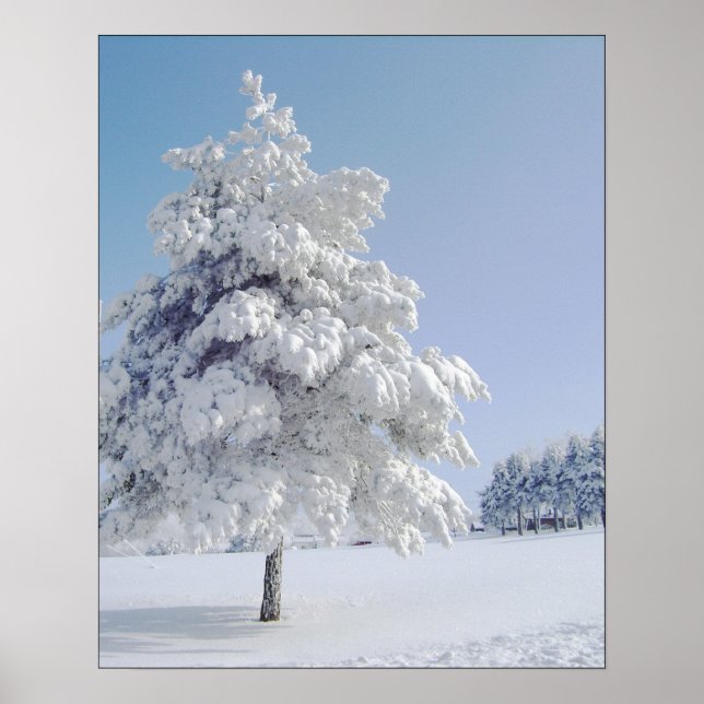 Póster Árbol besado de nieve (Frente)