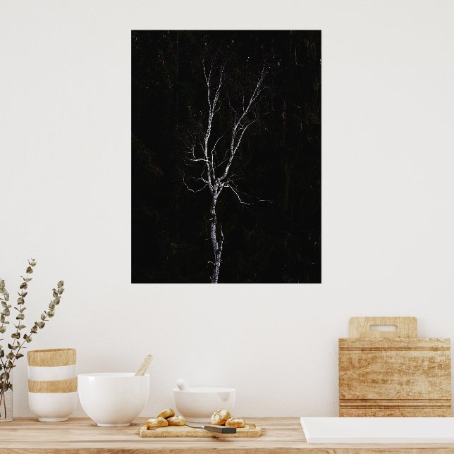 Póster Árbol blanco solitario (Cocina)