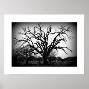 Póster árbol blanco y negro en el cementerio