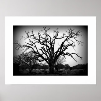 Póster árbol blanco y negro en el cementerio