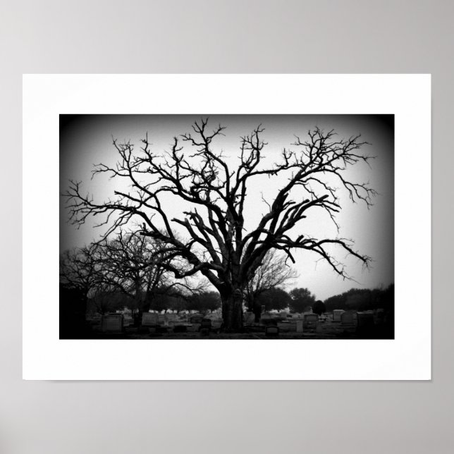 Póster árbol blanco y negro en el cementerio (Frente)