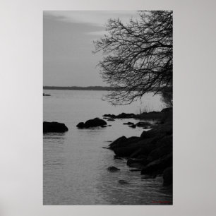 Póster Árbol blanco y negro sobre la bahía #5845