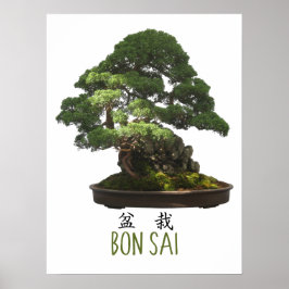 Póster Árbol Bonsai Japonés y Símbolo