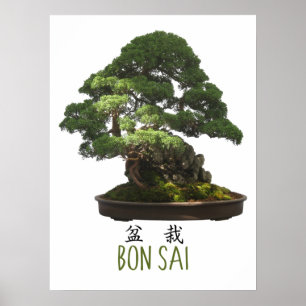 Póster Árbol Bonsai Japonés y Símbolo