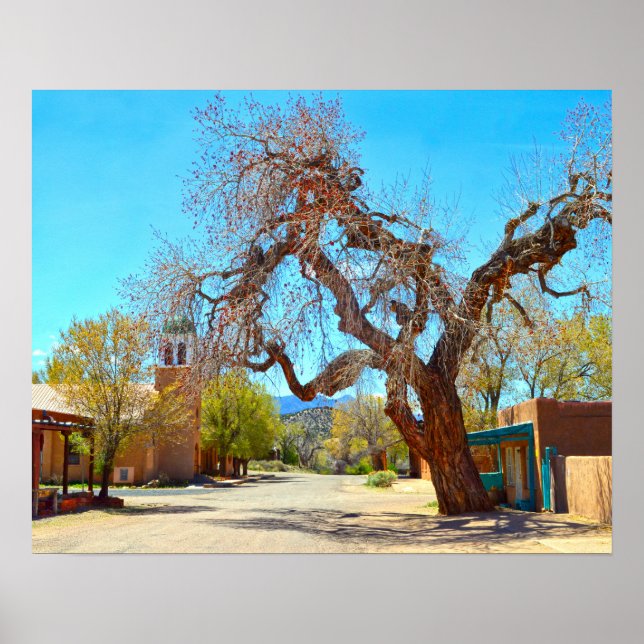 Póster Árbol colgante antiguo, Cerrillos, Nuevo México (Frente)