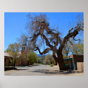 Póster Árbol colgante, Cerrillos, Nuevo México