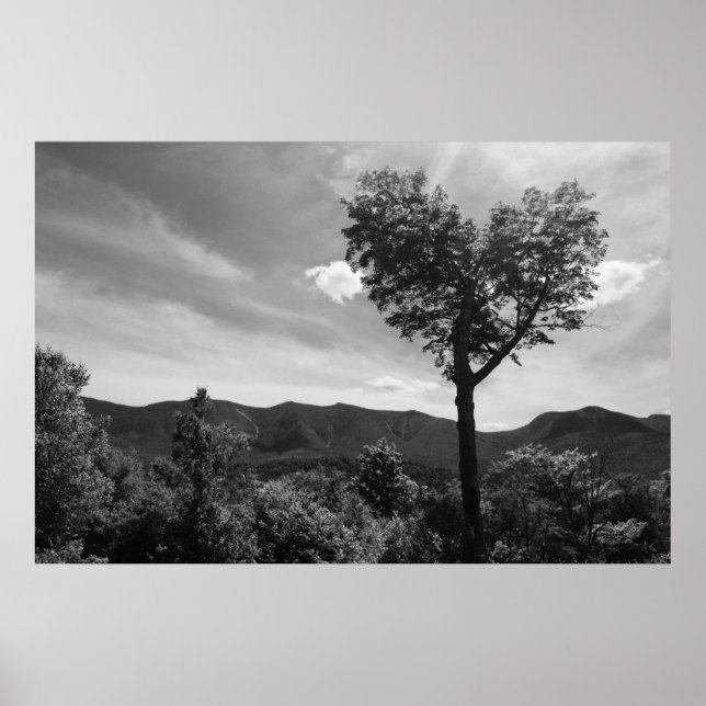 Póster Árbol con forma de corazón (Frente)