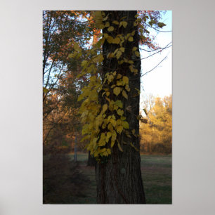 Póster Árbol con Poster de hojas amarillas
