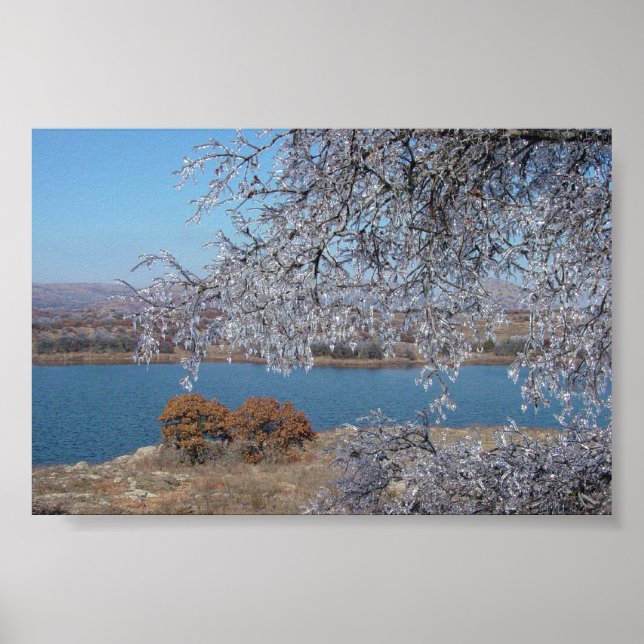 Póster Árbol congelado (Frente)