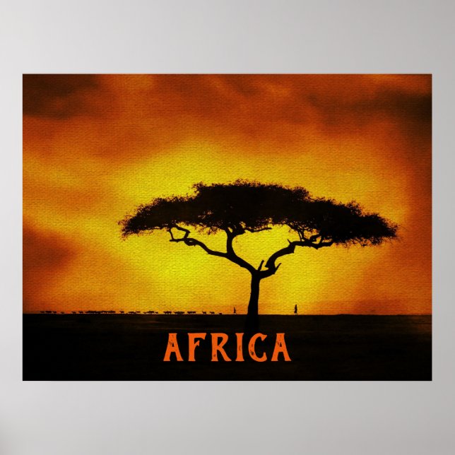 Póster Árbol de acacia del paisaje africano (Frente)