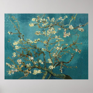 Póster Árbol de almendras floreciente - Van Gogh