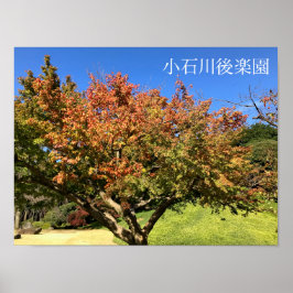 Póster Árbol de arce coloreado