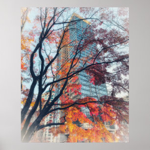 Póster Árbol de arce otoñal vibrante y rascacielos modern
