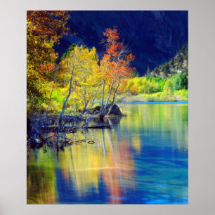 Póster Árbol de Aspen en otoño reflejándose en el lago Gr