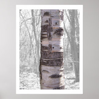 Póster Árbol de aves