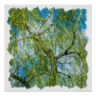 Póster Árbol de aves - La primavera está en el aire