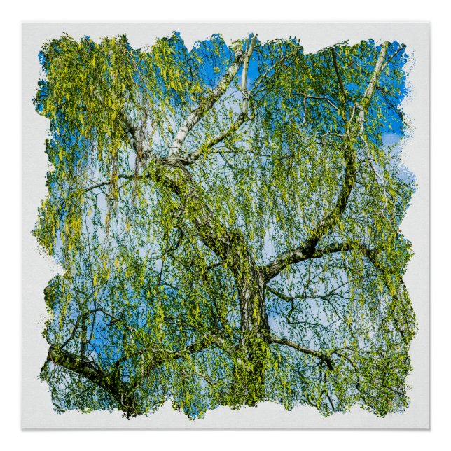 Póster Árbol de aves - La primavera está en el aire (Anverso)