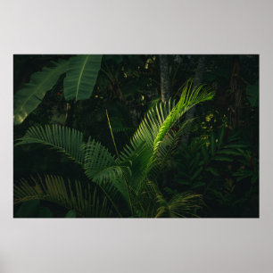 PÓSTER ÁRBOL DE BANANA VERDE DURANTE EL DÍA