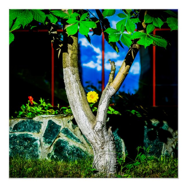 Póster Árbol de castañas (Anverso)