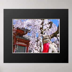 Póster Árbol de cerezo llorón ("Nara Ichiban-Zakura")