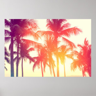 Póster Árbol de coco en la costa tropical