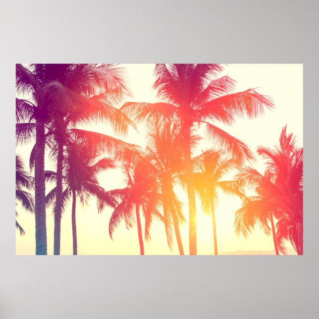Póster Árbol de coco en la costa tropical (Frente)