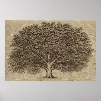 Póster Árbol de cosecha