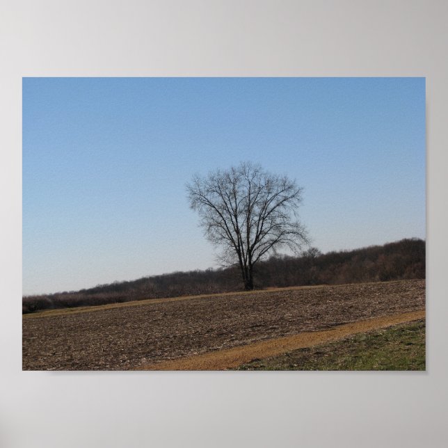 Póster Árbol de familia (Frente)