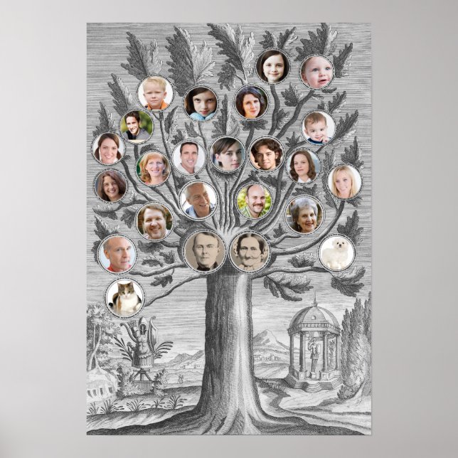 Póster Árbol de familia antigua inserte sus propios nombr (Frente)