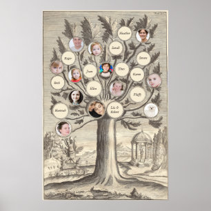 Póster Árbol de familia antigua inserte sus propios nombr