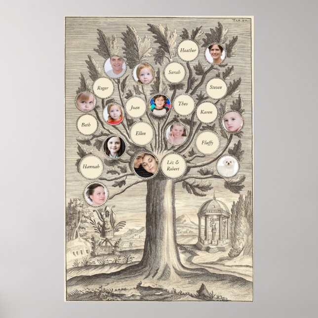 Póster Árbol de familia antigua inserte sus propios nombr (Frente)