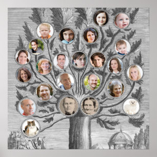 Póster Árbol de familia antigua inserte sus propios nombr
