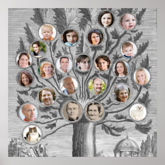 Póster Árbol de familia antigua inserte sus propios nombr