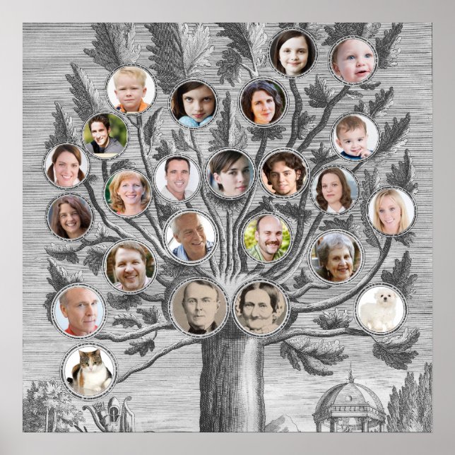 Póster Árbol de familia antigua inserte sus propios nombr (Frente)