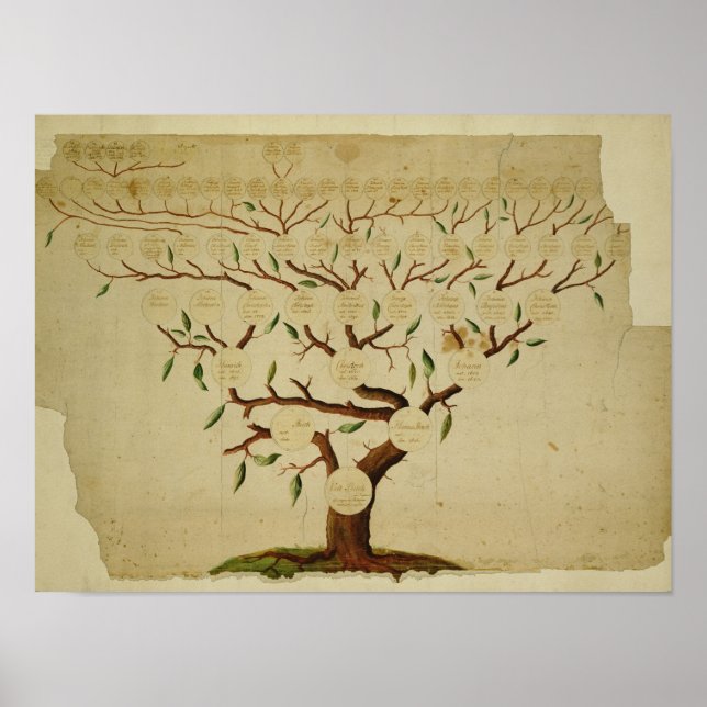 Póster Árbol de familia Bach, c.1750-1770 (Frente)