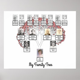 Póster Árbol de familia fractal con flores rosadas con Po